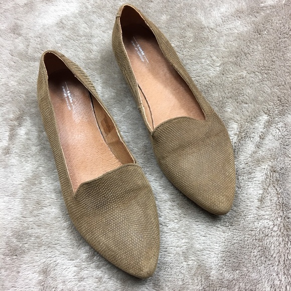 sacha premium collection sacha premium collection